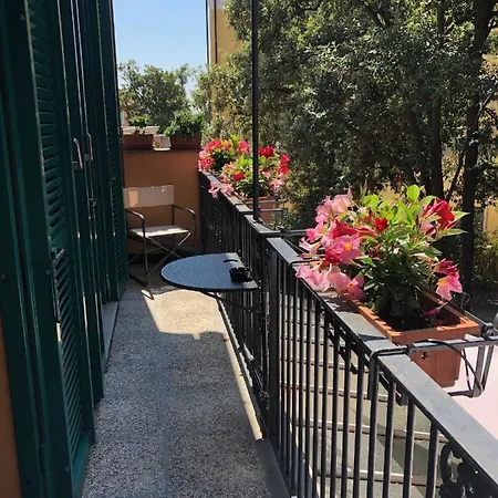 Amelia